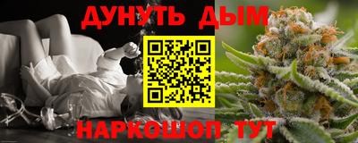 трава Бийск