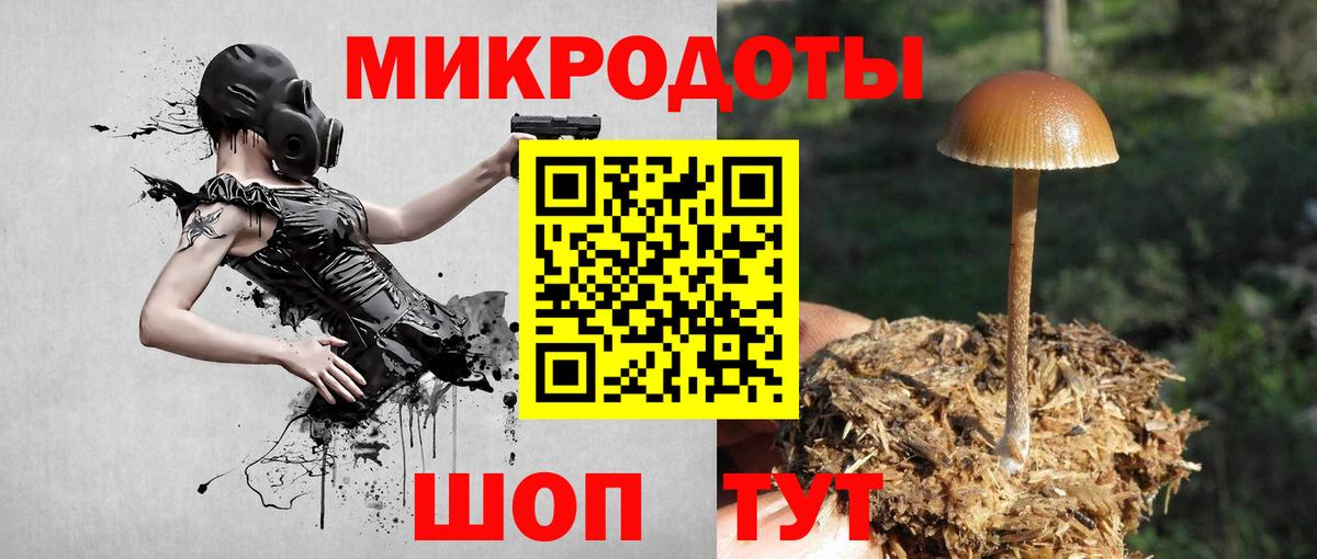 Чусовой  Галлюциногенные грибы GOLDEN TEACHER  Вход с VPN 