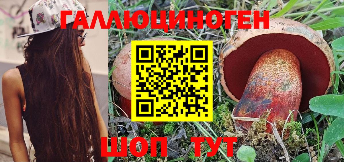 Кокаин  Каннабис  Вход с VPN  Гашиш  Альфа-ПВП  Hash Oil  Чусовой  Мяу-Мяу 